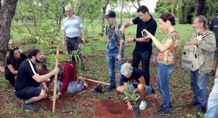 Pelo direito de plantar: moradores do Distrito Federal se preparam para plantar milhares árvores em 8 de dezembro