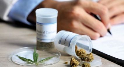 Argentina promulga lei que libera uso medicinal da cannabis