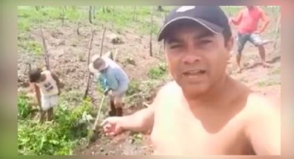 Nordestino mostra sogro com 80 anos no roçado: "Bolsonaro, tu tá tirando nossa vida", veja vídeo