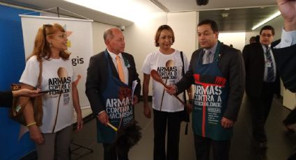 Parlamentares usam avental, colher de pau e espanador como "armas contra o machismo"