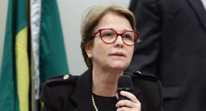 Ministra da Agricultura diz que brasileiro não passa fome “porque nós temos manga nas nossas cidades”