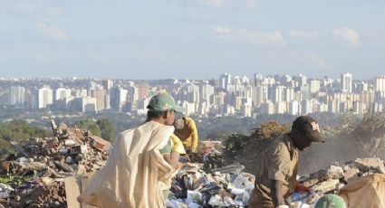 Tereza Campello: A fome está de volta, Bolsonaro