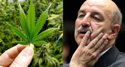 Ministro virou inimigo da maconha medicinal após receber concorrente em seu gabinete