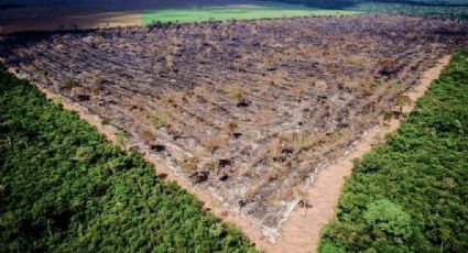 Com obstruções de Brasil, EUA e Austrália, COP25 tem resultado frustrante