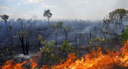 Maranhão formaliza pedido de ajuda a governo federal para conter queimadas