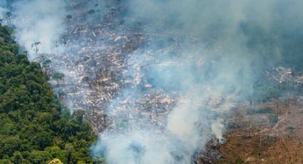 Leonardo Di Caprio e viúva de Steve Jobs lançam fundo de proteção à Amazônia