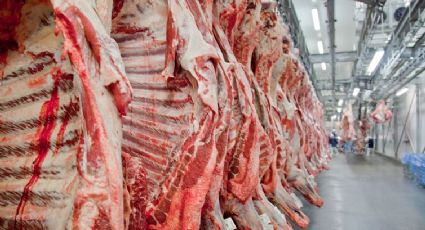 Brasil de Bolsonaro: Assaltantes invadem frigorífico e roubam 390 kg de carne em SC