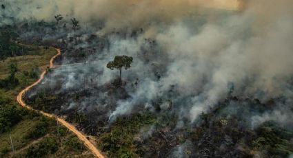 Amazônia em chamas: Ruralistas combinaram "dia do fogo" no Whatsapp por apoio a Bolsonaro