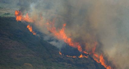 Acusados de colocar fogo na floresta, brigadistas presos não estariam em Alter do Chão no início do incêndio