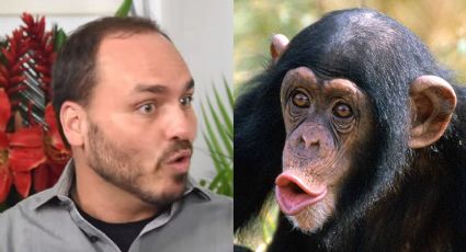 "Até um chimpanzé escreveria melhor", diz jornalista da Band sobre Carlos Bolsonaro