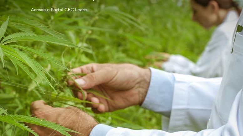 Clínica de Cannabis atenderá 10 crianças carentes na abertura de setor infantil