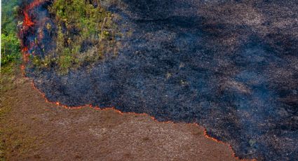 Queimadas na Amazônia superam todo o ano de 2019, mostram dados do Inpe