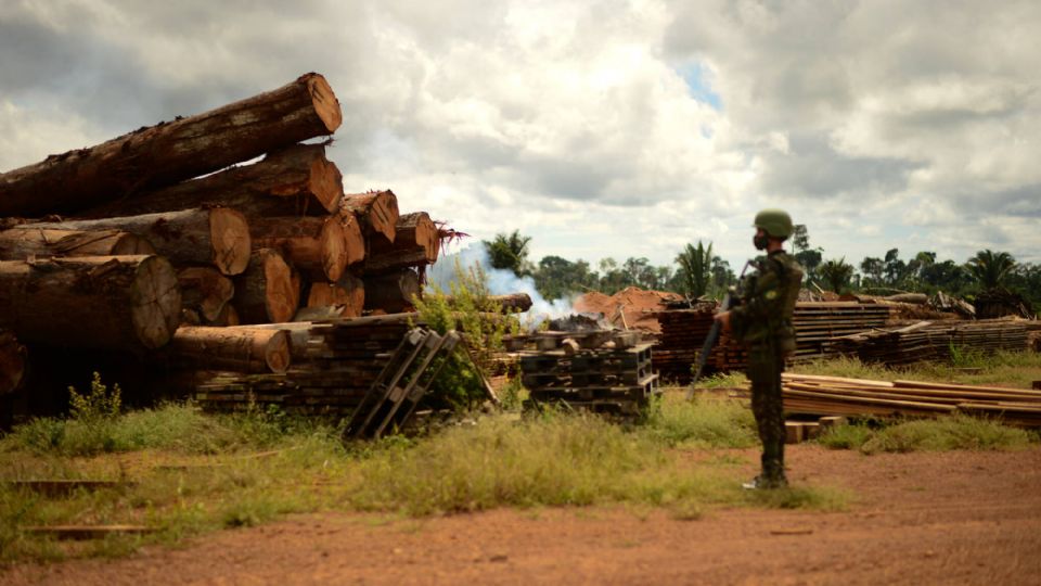 Militar em ação em Rondônia na Operação Verde Brasil  (Foto Divulgação / Exército Brasileiro)