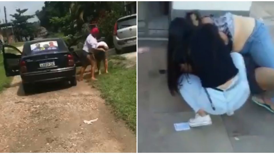 Reprodução