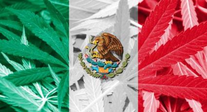 Senado do México aprova lei de legalização da maconha