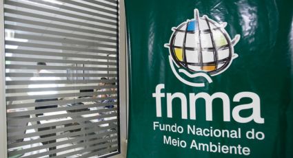 Bolsonaro exclui ONGs e movimentos sociais de conselho do Fundo Nacional do Meio Ambiente