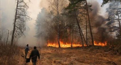 Greenpeace diz que incêndio em Chernobyl está a um quilômetro da usina e há risco de radiação