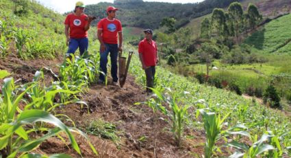 Se não plantar agora, a fome virá em seguida; por Frei Sérgio Görgen