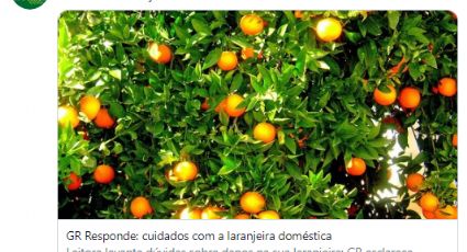 Globo Rural ironiza prisão de Queiroz no Twitter: Se tem laranja em casa, cuidado