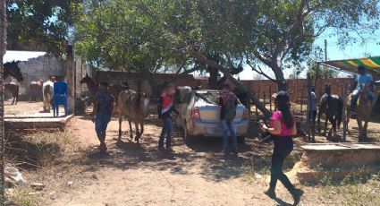 Público de vaquejada em Teresina (PI) foge com a chegada da PM; cidade está em lockdown