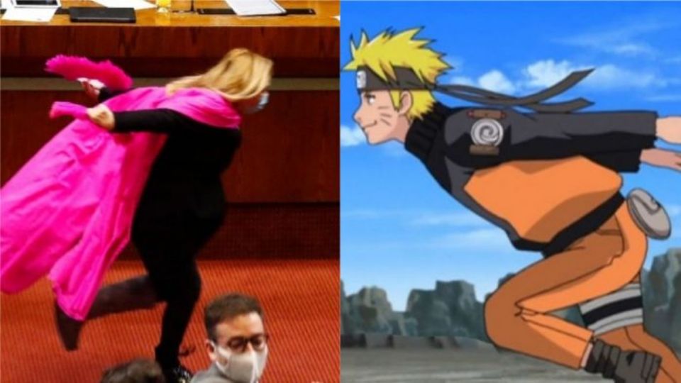 Pamela Jiles e Naruto (foto: reprodução)