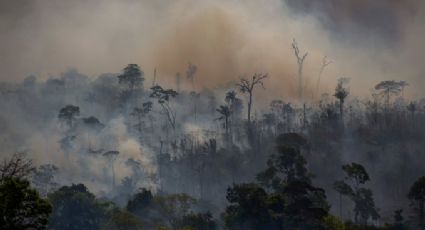 Salles demite presidente do ICMBio após desacordo sobre incêndios no Pantanal