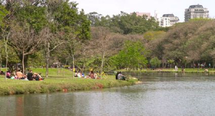 Privatizado, Ibirapuera começará a cobrar de atletas que treinam em grupos