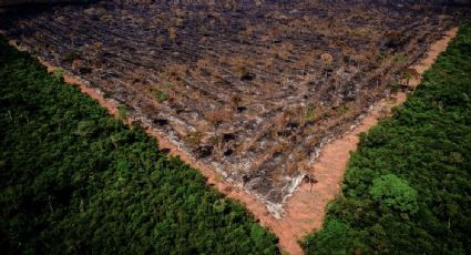 Grileiros usam cadastro ambiental do governo para tomar 18,6 milhões de hectares na Amazônia