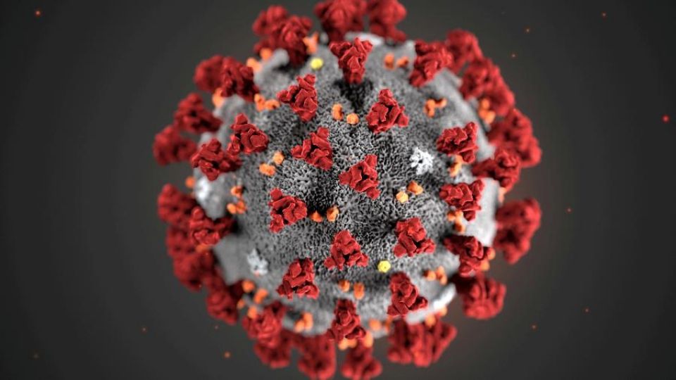 Reprodução do novo coronavírus, com as proteínas spike, que dão uma aparência de coroa a ele (Reprodução)