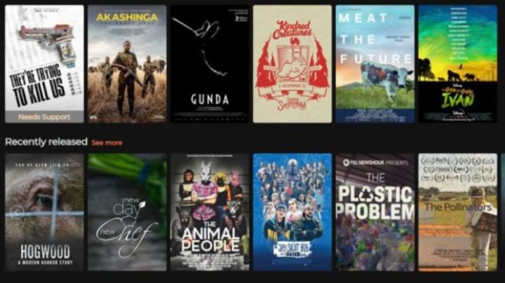 Plataforma VegMovies reúne 200 filmes sobre veganismo e direitos dos animais