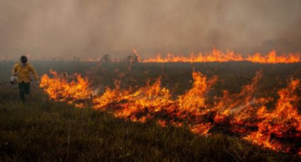 Servidor do ICMBio tem 80% do corpo queimado ao tentar conter incêndio florestal em Goiás