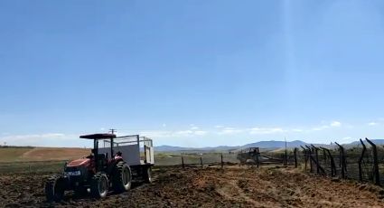 Em mais uma ação ilegal no Quilombo Campo Grande, governo de MG destrói plantações, denuncia o MST