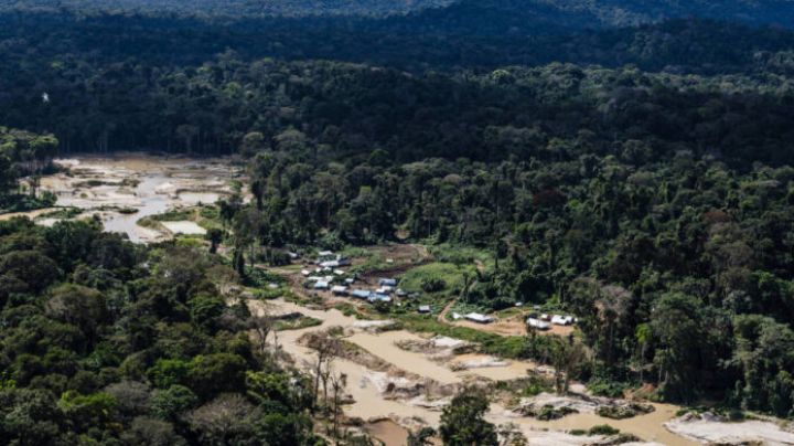 Pesquisa mostra que 83% dos brasileiros estão insatisfeitos com preservação da Amazônia