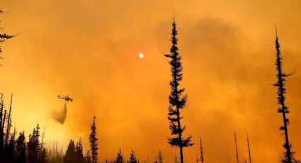 Incêndios florestais destroem a Costa Oeste dos EUA