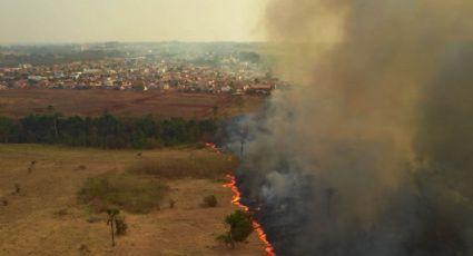 Chefe do combate a incêndios do Ibama pede para sair em meio a queimadas recordes