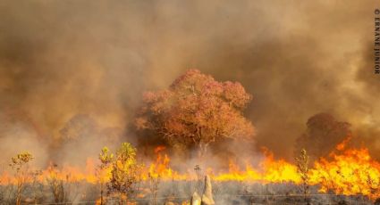 Depois de três meses, Bolsonaro oficializa uso da Força Nacional nos incêndios no Pantanal