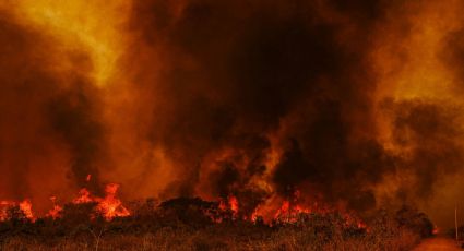 Pesquisa Fórum: para 80%, queimadas no Pantanal e na Amazônia resultam de atos criminosos