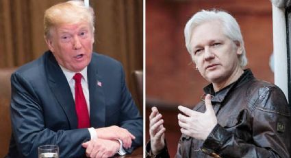 Relator da ONU contra a tortura pede a Trump que indulte Julian Assange