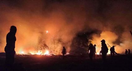 São Paulo e Paraná podem ter chuva negra devido a queimadas no Pantanal