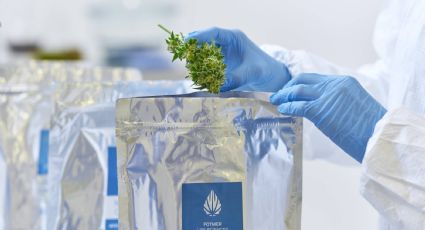 Entourage Phytolab estreia no mercado brasileiro com medicamentos à base de cannabis