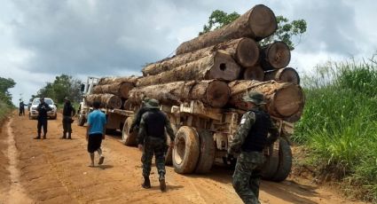 Justiça dá 15 dias para governo Bolsonaro mostrar como vai mitigar danos a terras indígenas por obras na BR-163