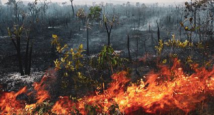 Governadores vão à COP26 para tentar reverter a imagem de "pária ambiental" do Brasil