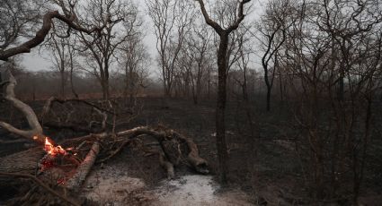 Queimadas no Pantanal até setembro já superam recorde de ano completo