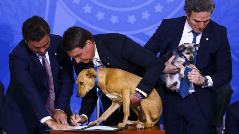 O cachorro do Bolsonaro, a moça de biquíni no Leblon e Carol Solberg