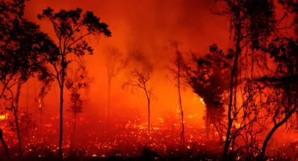 Mudança Climática: "Brasil supera compromisso dos países desenvolvidos", diz Itamaraty