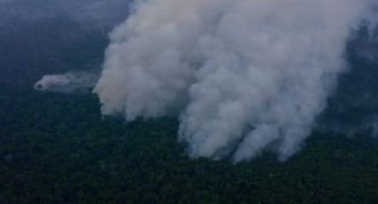 Amazônia em chamas: do "passar a boiada" ao desaparecimento de Bruno Pereira e Dom Phillips