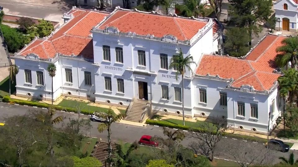 Instituto Butantan - Foto: Reprodução/TV Globo