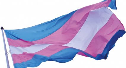 Conheça a origem do Dia Nacional da Visibilidade Trans