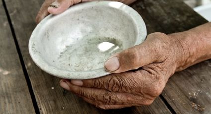 Era Bolsonaro: 116 milhões de brasileiros não têm acesso pleno e permanente a comida