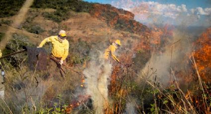 Militar do Exército multado por desmatar no AC tenta ser brigadista do ICMBio